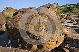 FOSSIL PARK, KUTCHCHH, GUJARAT photo